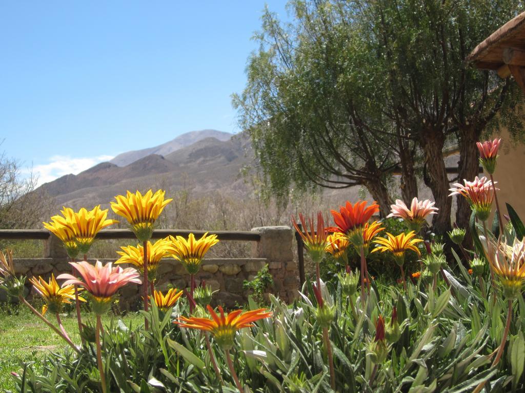 Posada Campo Morado Huacalera Eksteriør billede