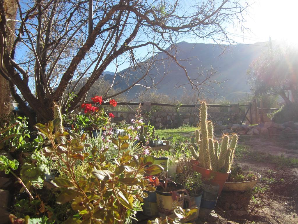 Posada Campo Morado Huacalera Eksteriør billede